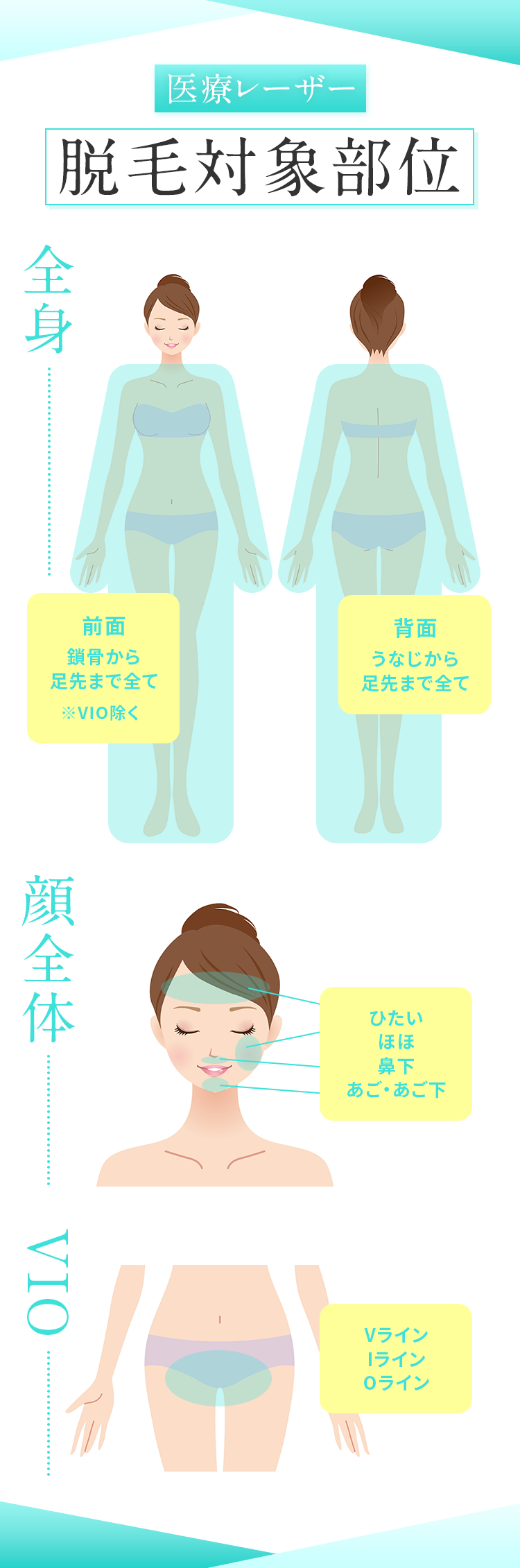 脱毛対象部位 - 医療レーザー
